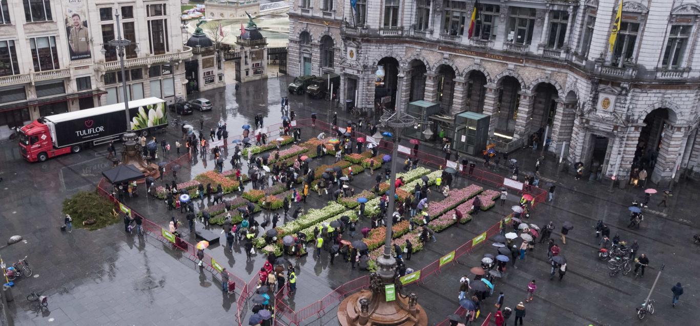 La fièvre des tulipes frappe Anvers