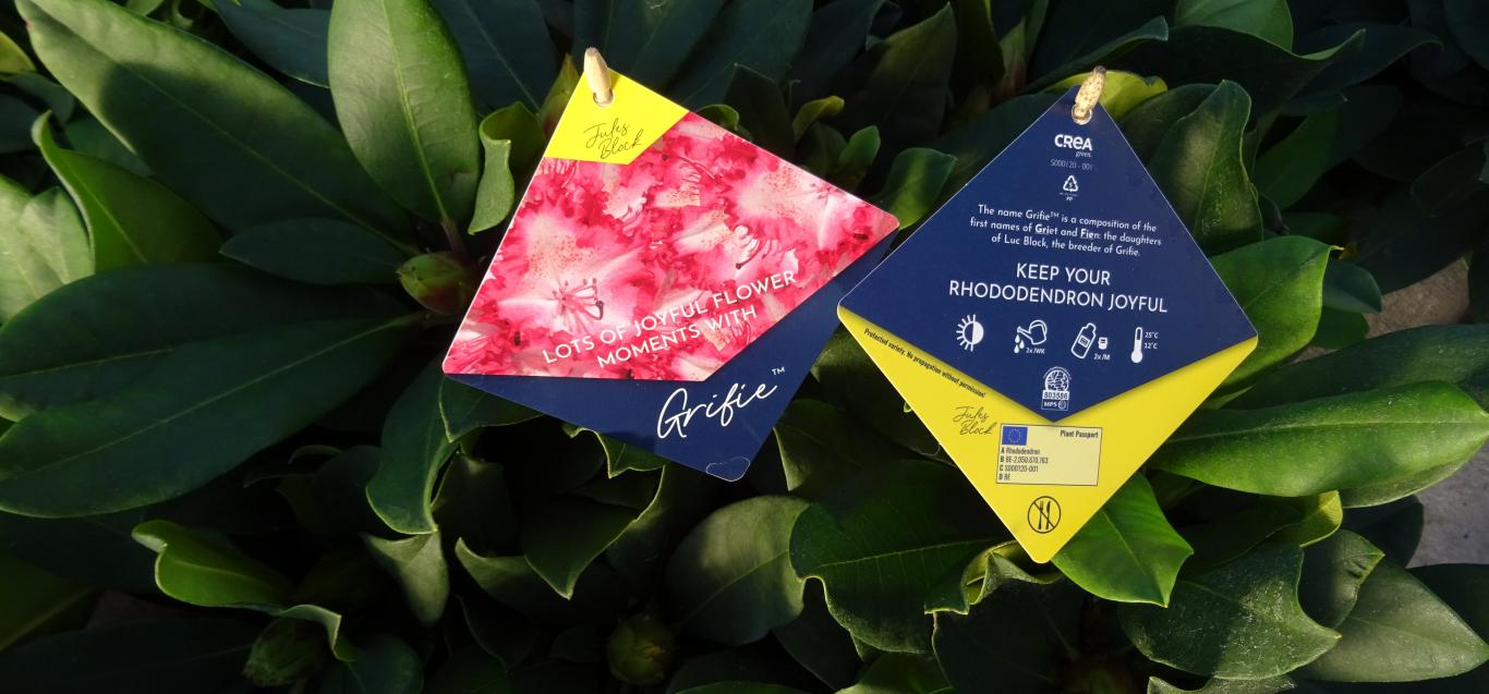 Ecolabel 'Grifie'
