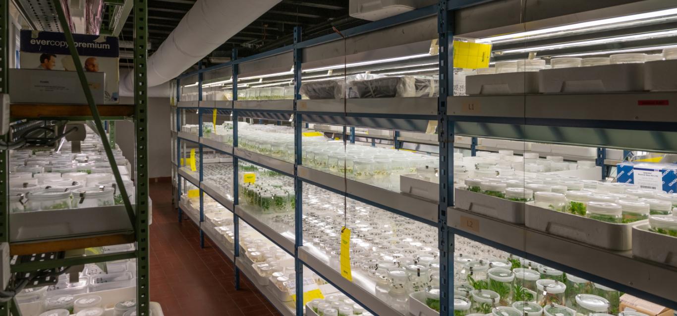 Instituut voor Landbouw-,Visserij- en Voedingsonderzoek (ILVO)
