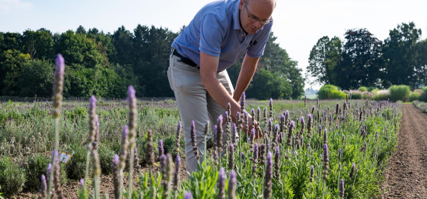 Instituut voor Landbouw-,Visserij- en Voedingsonderzoek (ILVO)