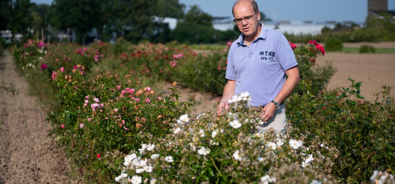 Instituut voor Landbouw-,Visserij- en Voedingsonderzoek (ILVO)