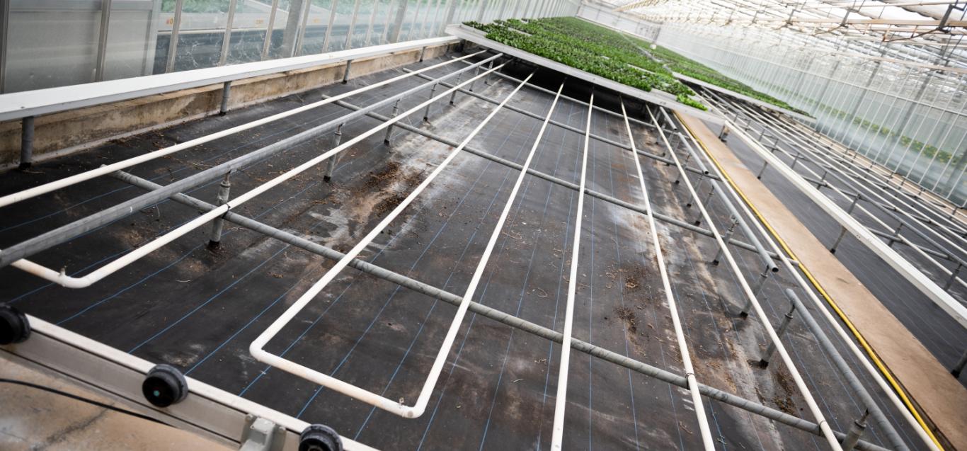 Microflor