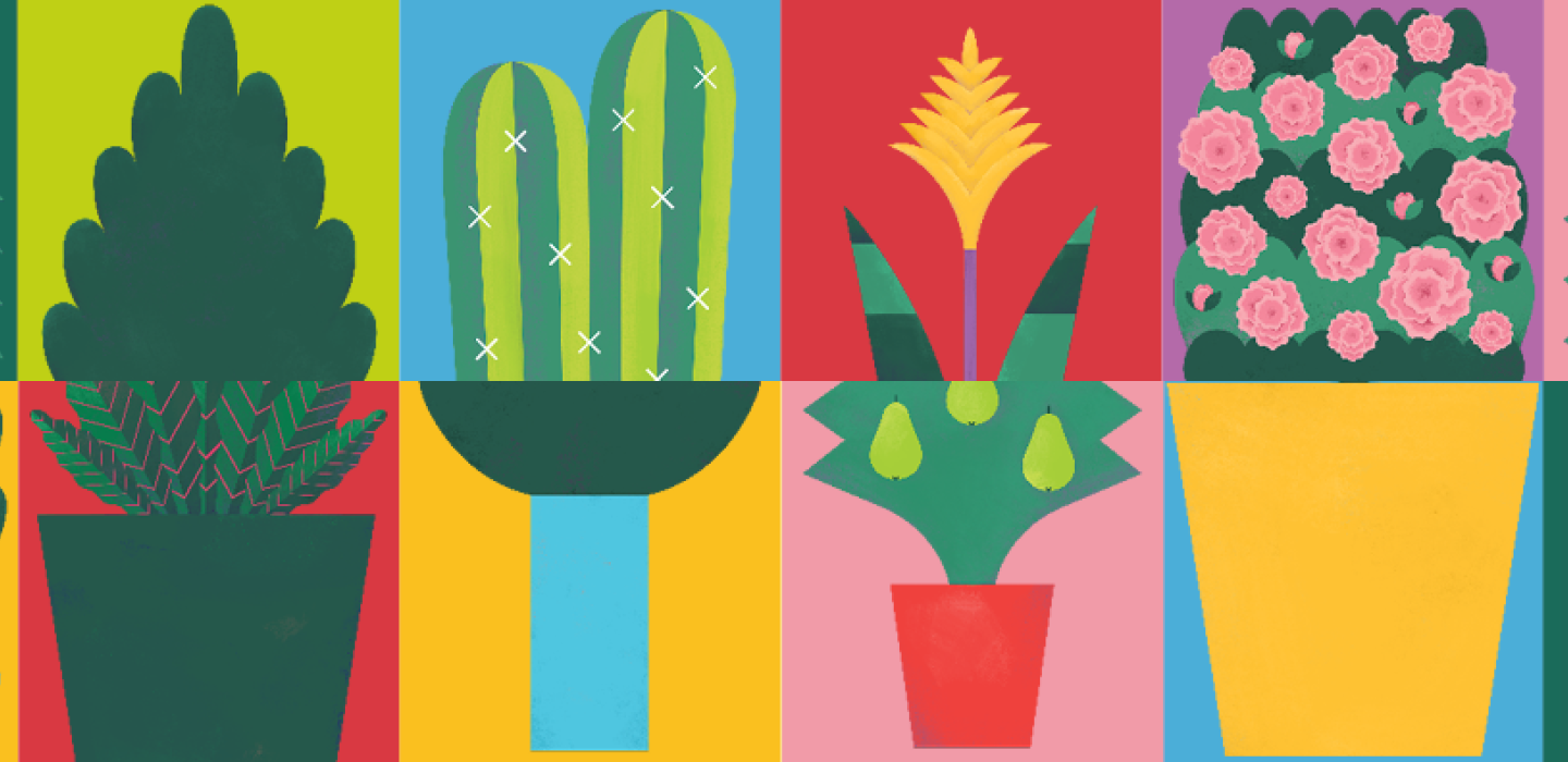 We Grow Your Way