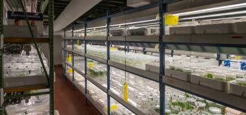 Instituut voor Landbouw-,Visserij- en Voedingsonderzoek (ILVO)