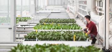 Microflor