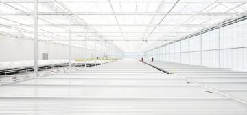 Microflor