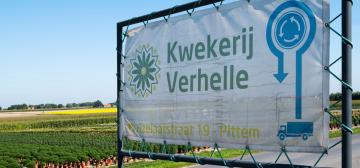 Verhelle BV
