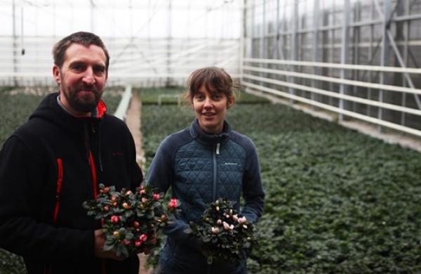 Jeroen Drieghe en Ellen Mallems, Van Drieghe Azalea