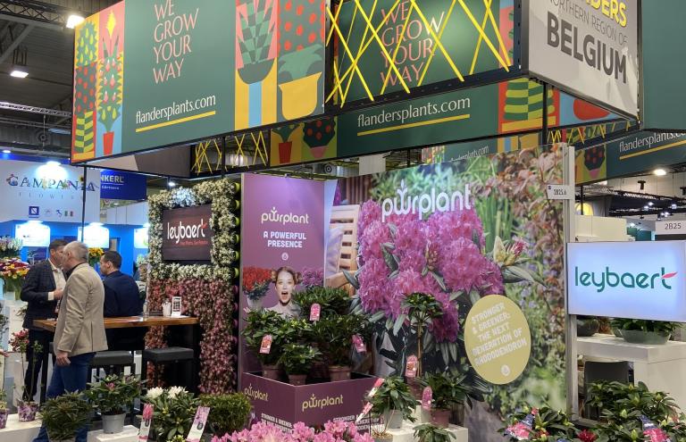 A Fresh Look for Flanders at IPM