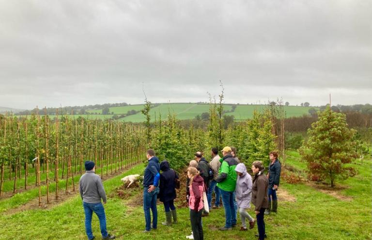 Vlaamse boomkwekerijsector bezoekt Ierland met VLAM