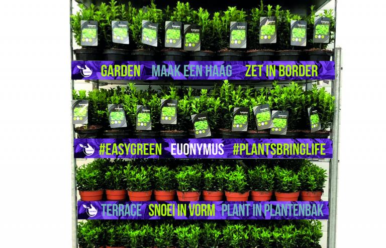 #Easygreen van VDW Plant won de FLORALL award als concept.