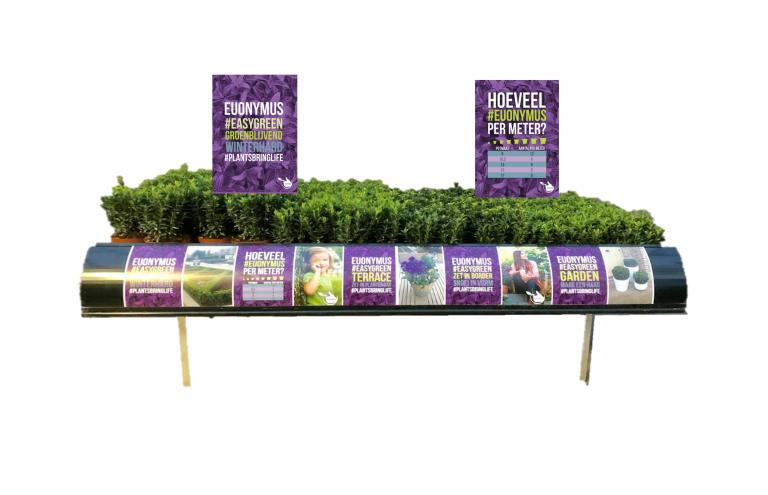 #Easygreen plaatst de toepassingsmogelijkheden en veelzijdigheid van de groenkleurige Euonymus in het daglicht