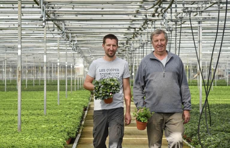 Horticulture: Flemish supplier offers personal service Horticulture: Flemish supplier offers personal service