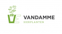 VANDAMME SIERPLANTEN