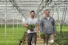 Horticulture: Flemish supplier offers personal service