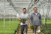 Gartenbau: Belgische Lieferanten bieten persönlichen Service