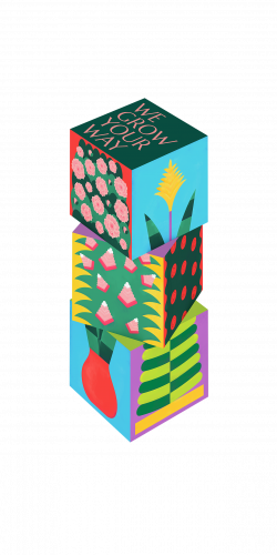 Afbeelding%20In%20Flanders,%20we%20grow%20your%20way_0.png