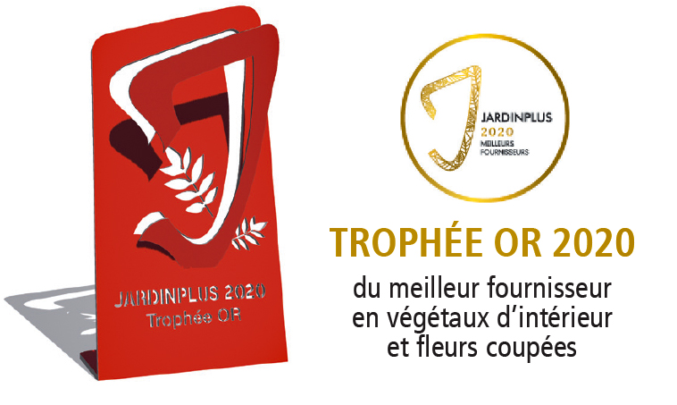 jardiplus_tropheedor2020.jpg